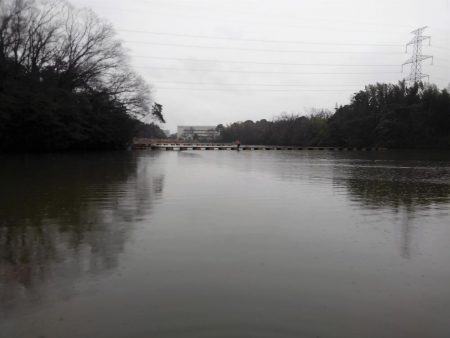 大安トラウトレイク 釣果